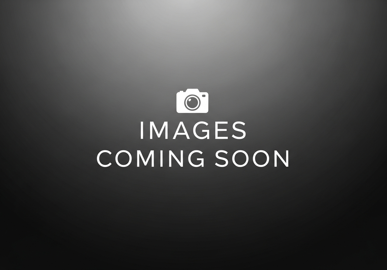 2015 ASTON MARTIN V12 Vantage S